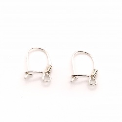 Closed earwire AGS